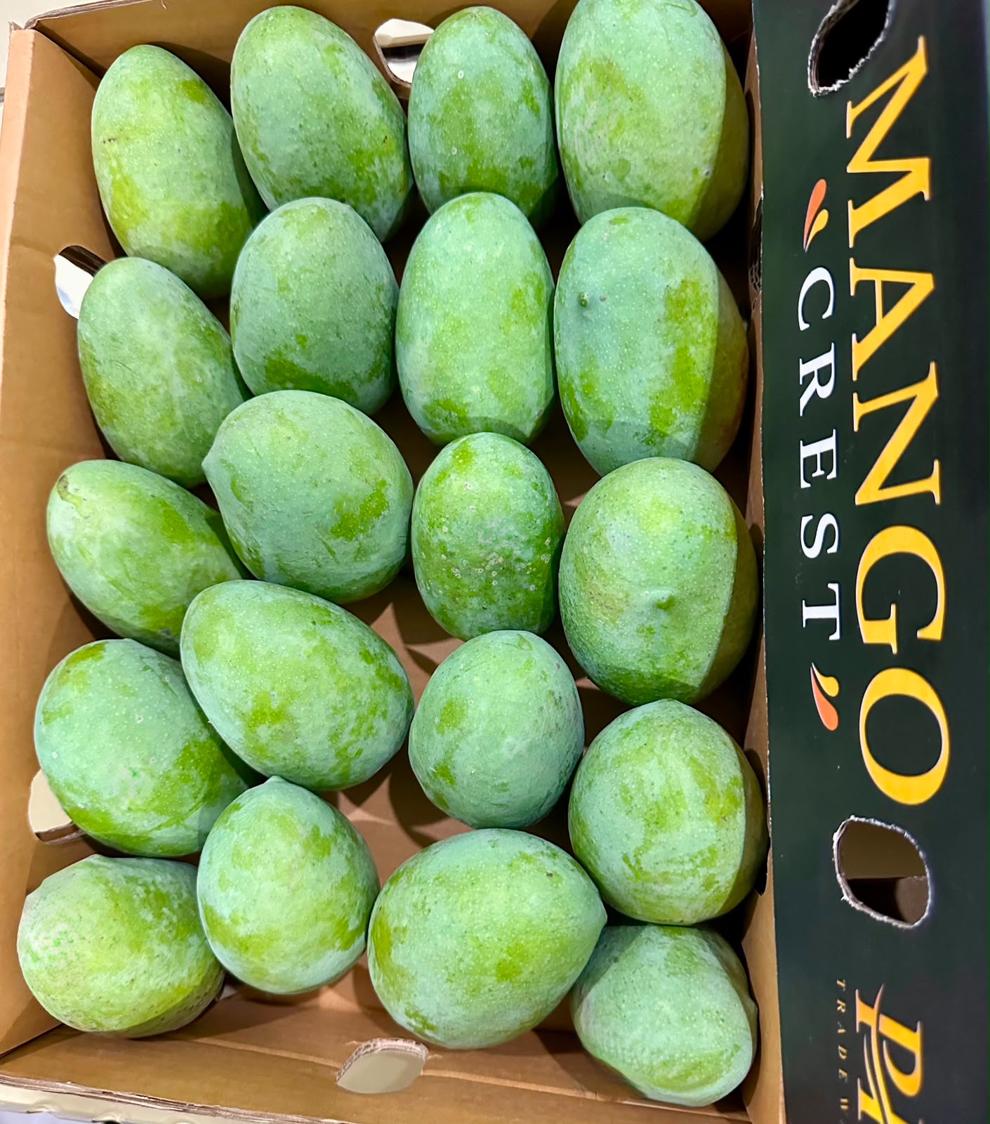 Mango Crest 12 No. Ratol Mangoes