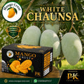 Mango Crest White Chaunsa Mangoes